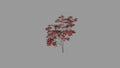 Full Canopy Tree | 3D Printable Chinese Garden Tree Model