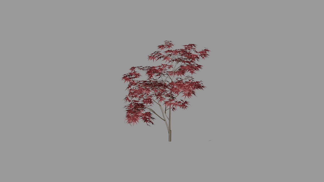 Full Canopy Tree | 3D Printable Chinese Garden Tree Model