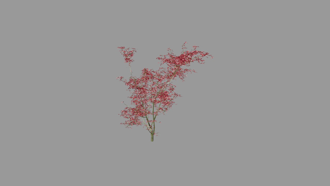 Open Branch Tree | 3D Printable Chinese Garden Tree Model