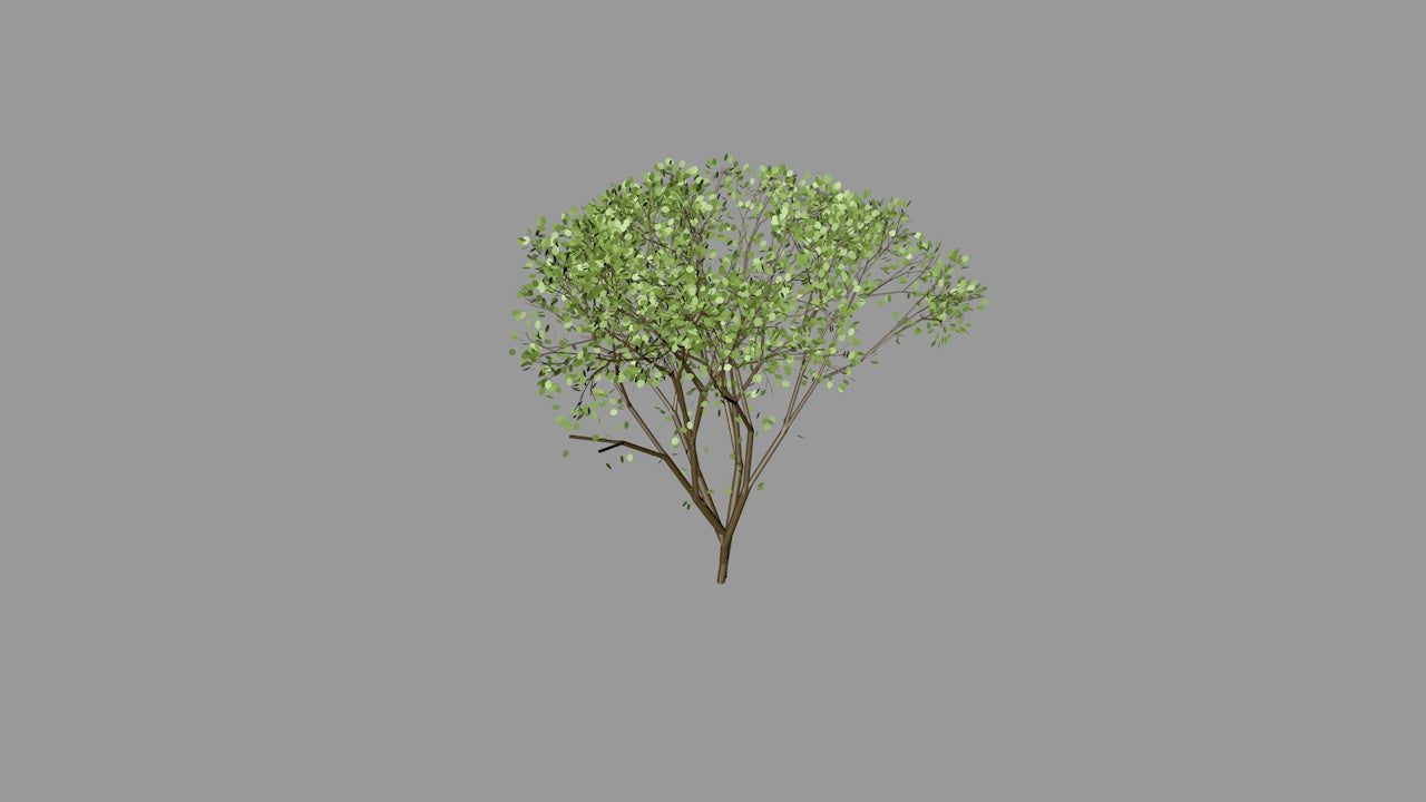 Layered Foliage Tree | 3D Printable Chinese Garden Tree Model