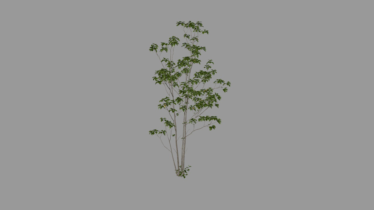 Upright Trunk Tree | 3D Printable Chinese Garden Tree Model