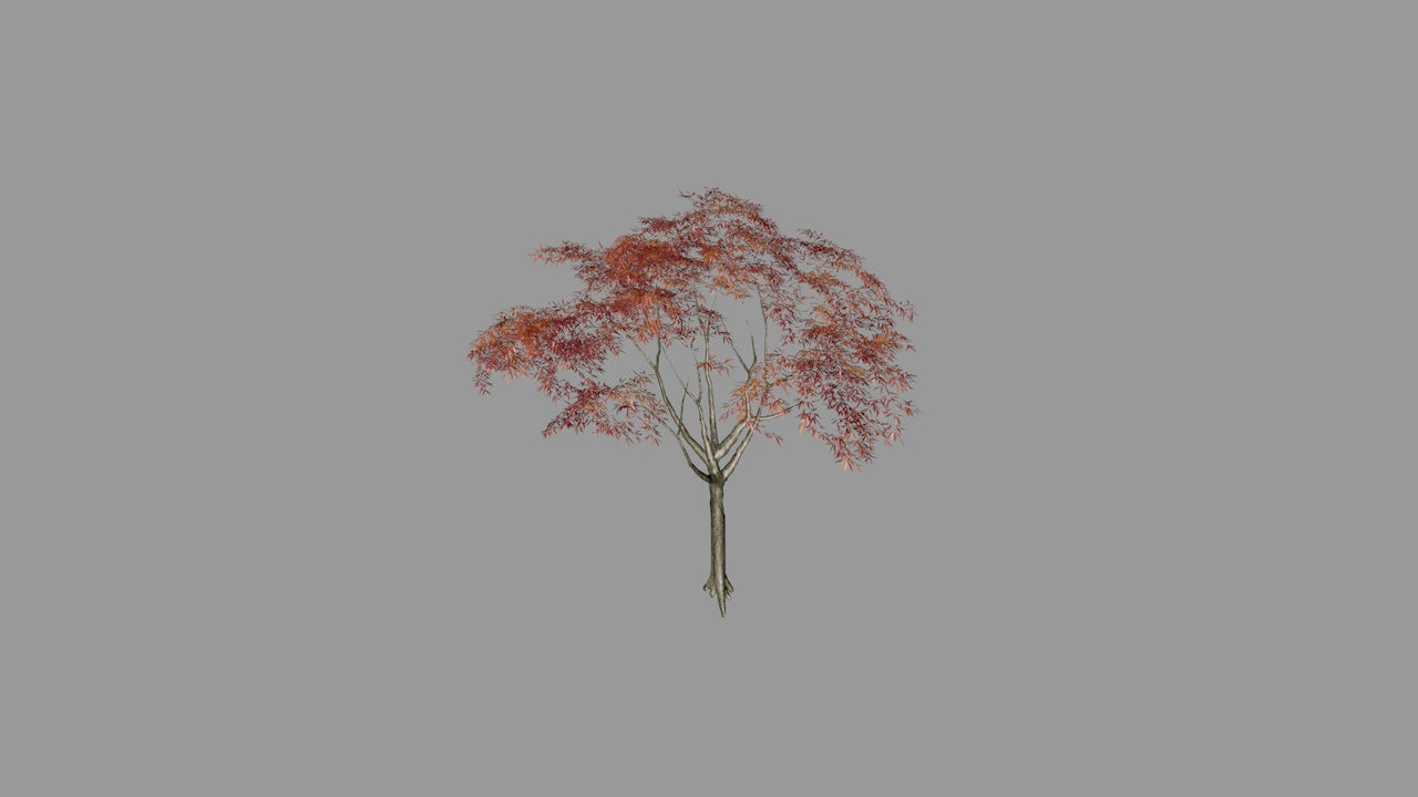 Grand Canopy Tree | 3D Printable Chinese Garden Tree Model
